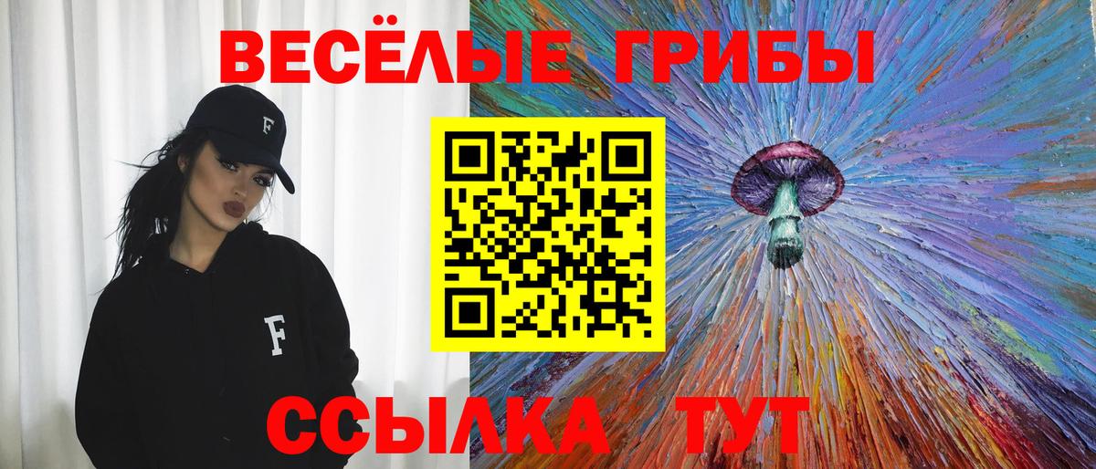 Псилоцибиновые грибы Psilocybe Краснокамск